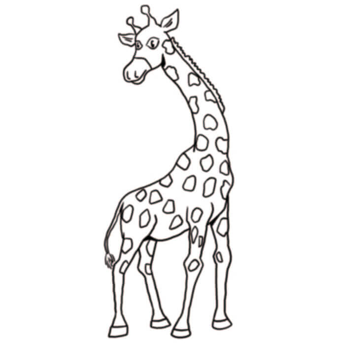 Illustration giraffe