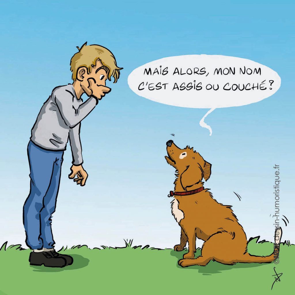 blague chien