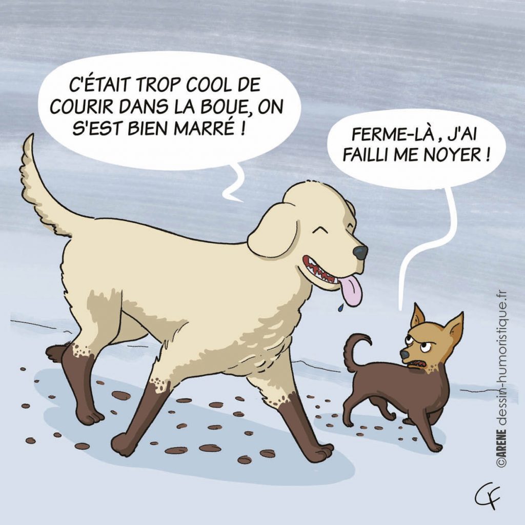 blague chiens